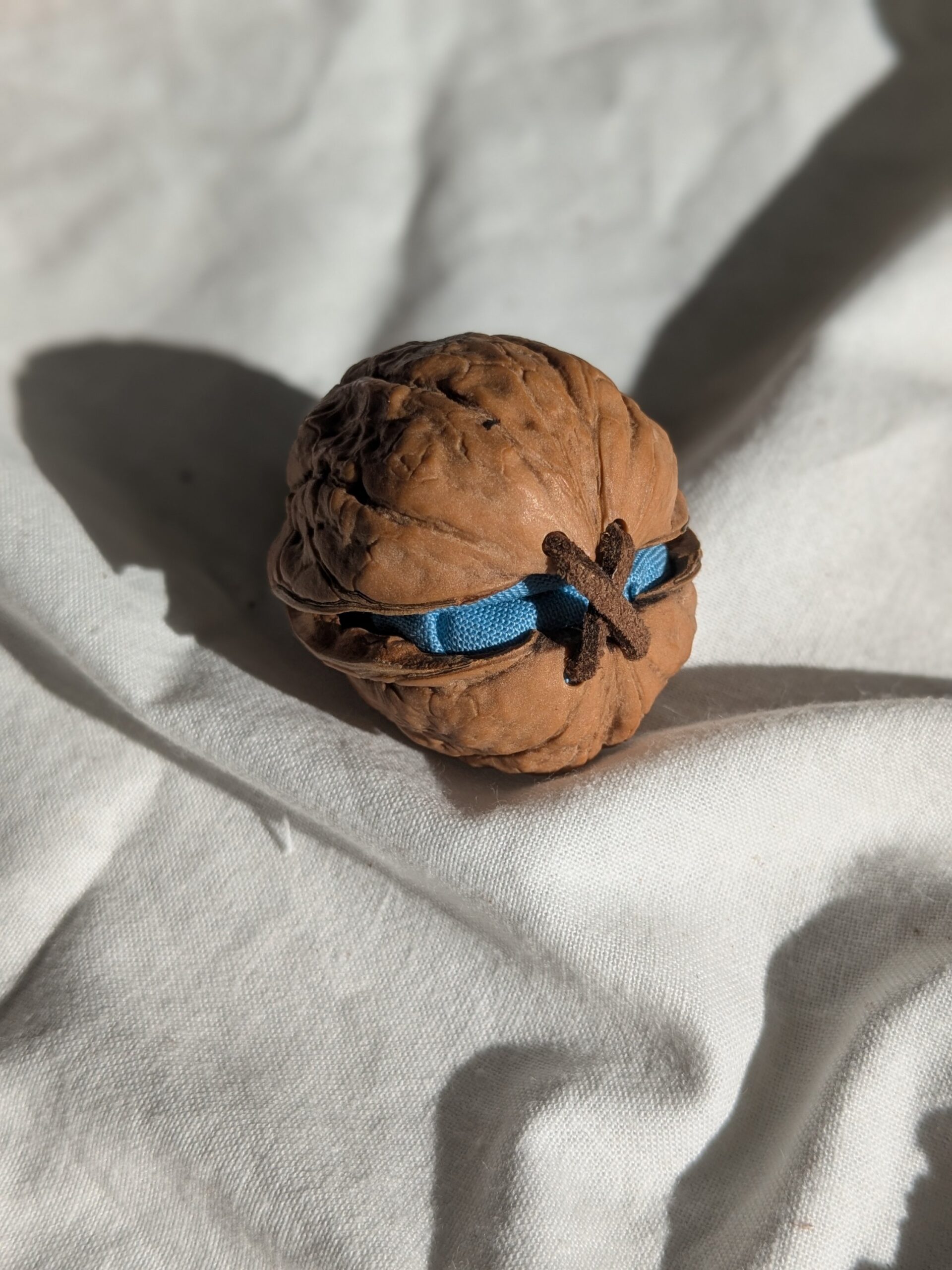 胡桃のリングケース : 青 - 画像 (4)