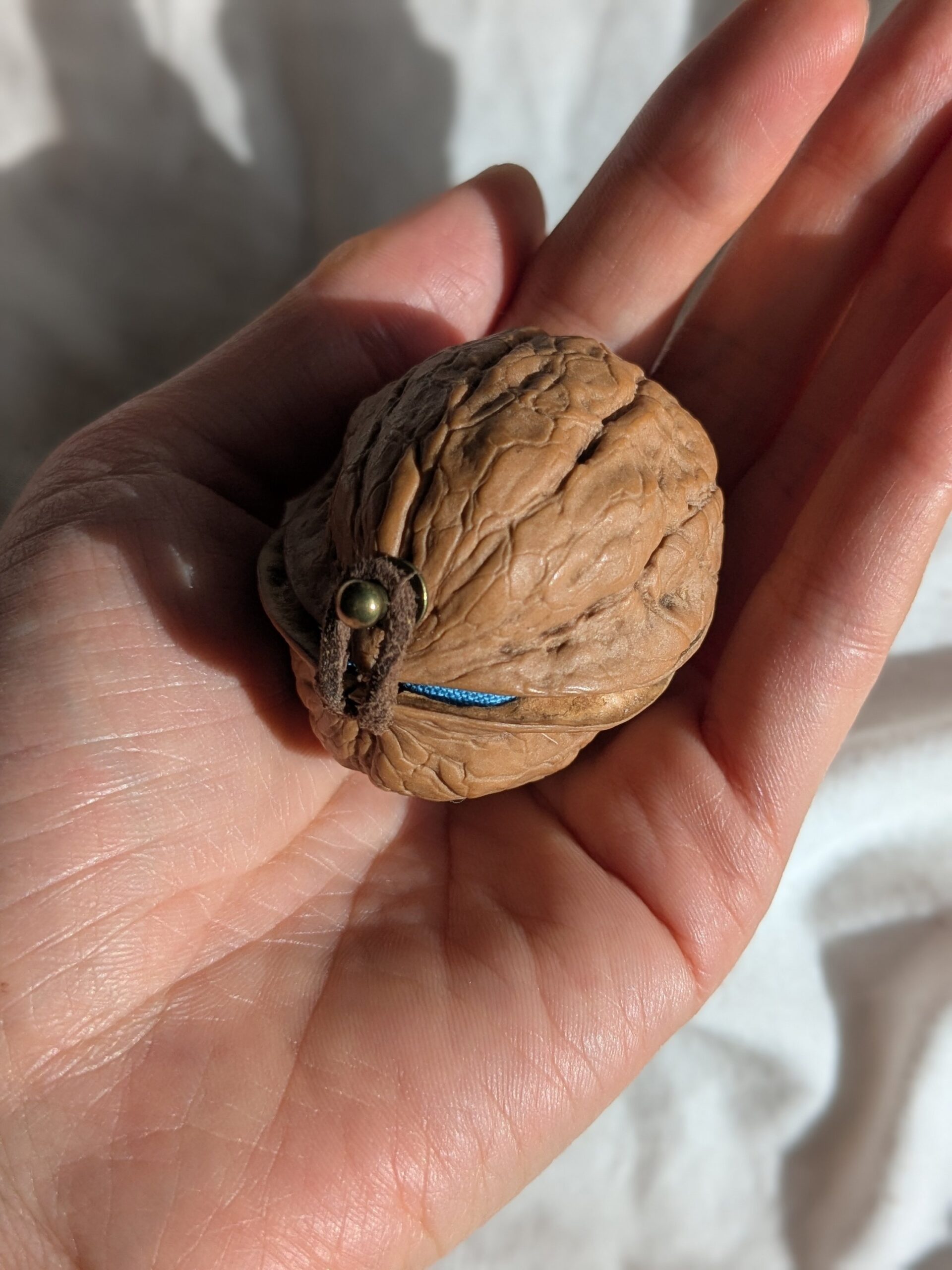 胡桃のリングケース : 青 - 画像 (2)