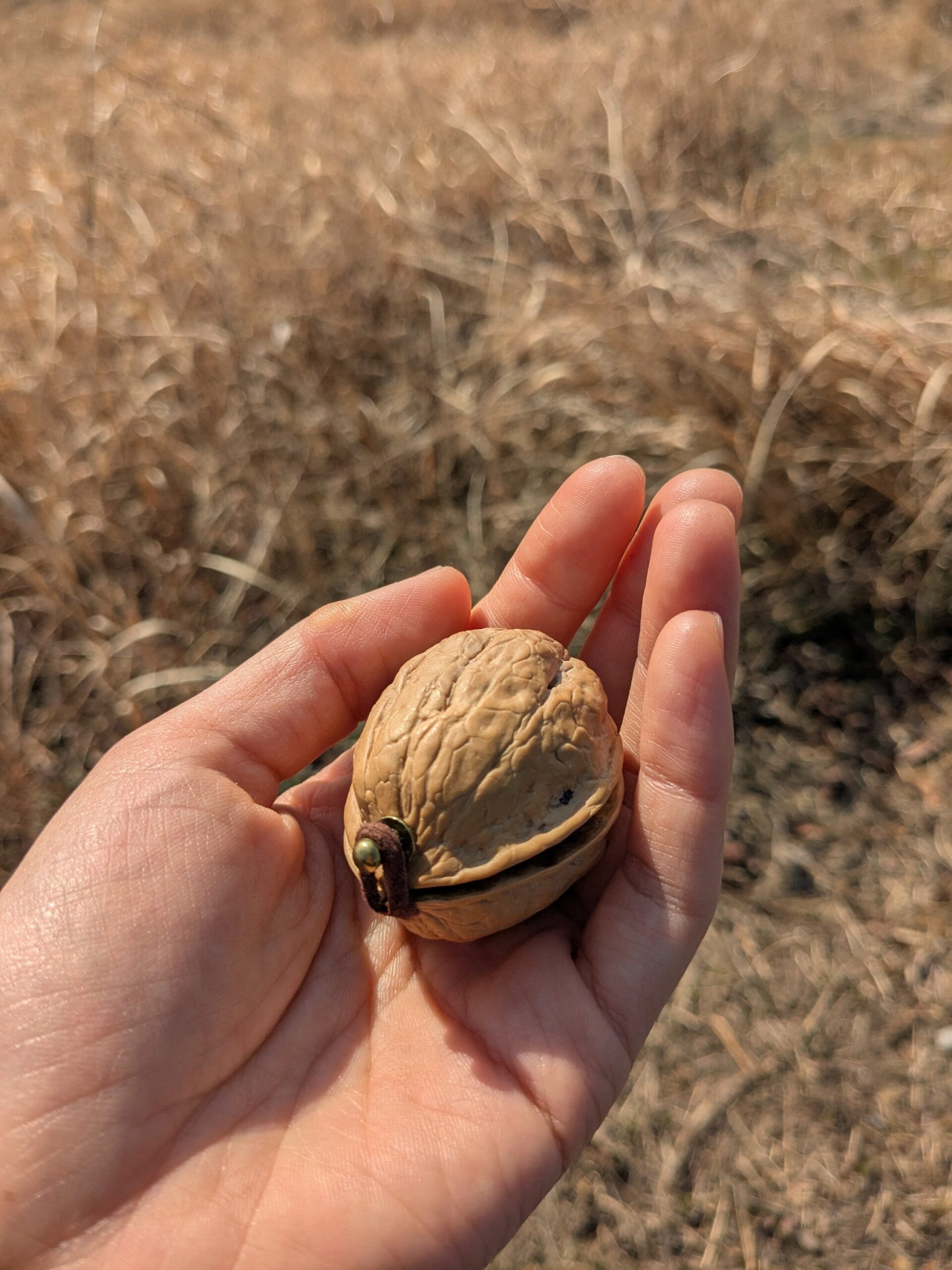 胡桃のリングケース:茶 - 画像 (7)