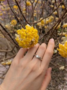 閃きから生まれたRing