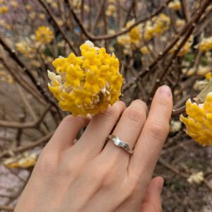 閃きから生まれたRing