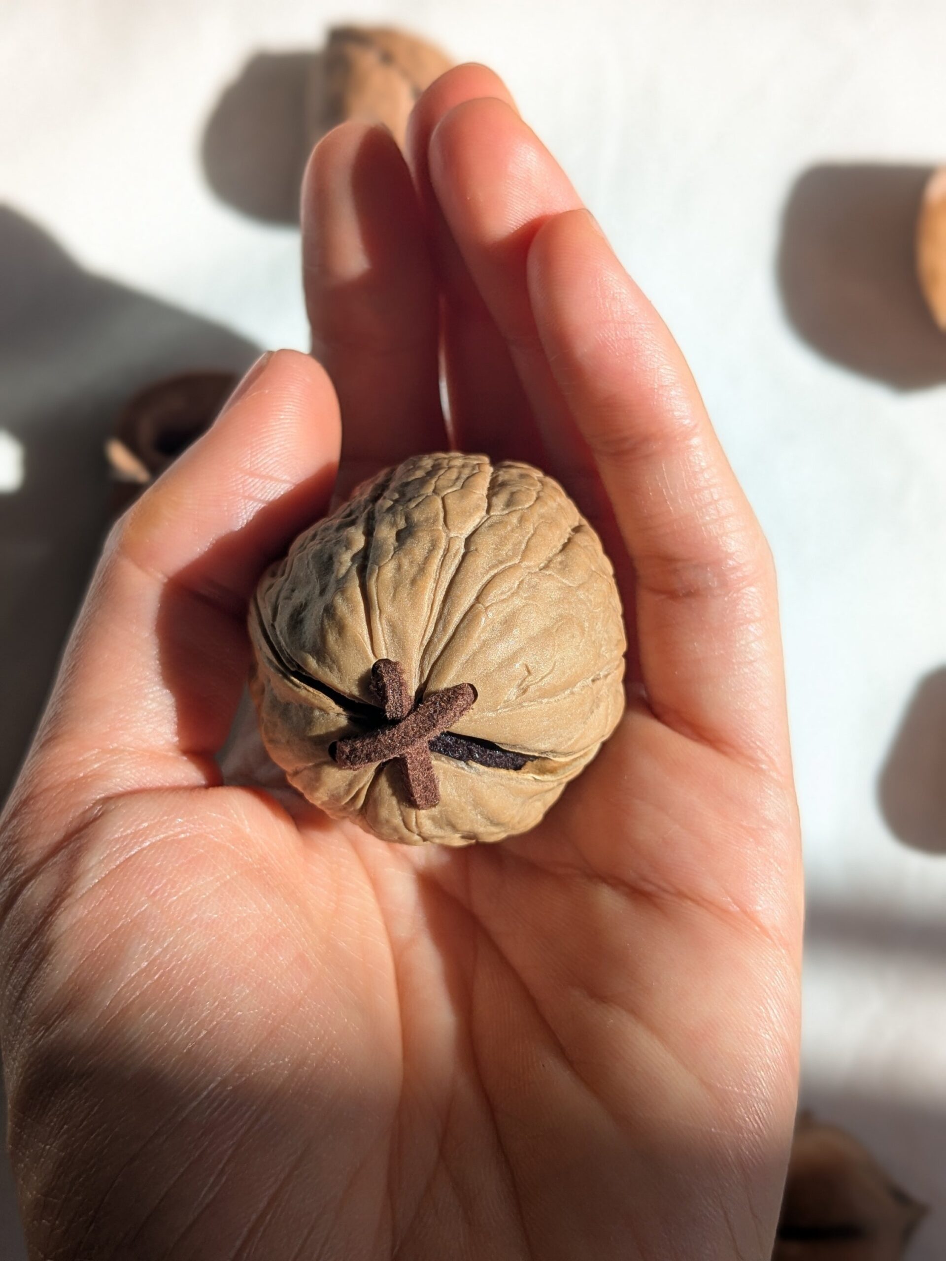 Coming soon - 画像 (5)