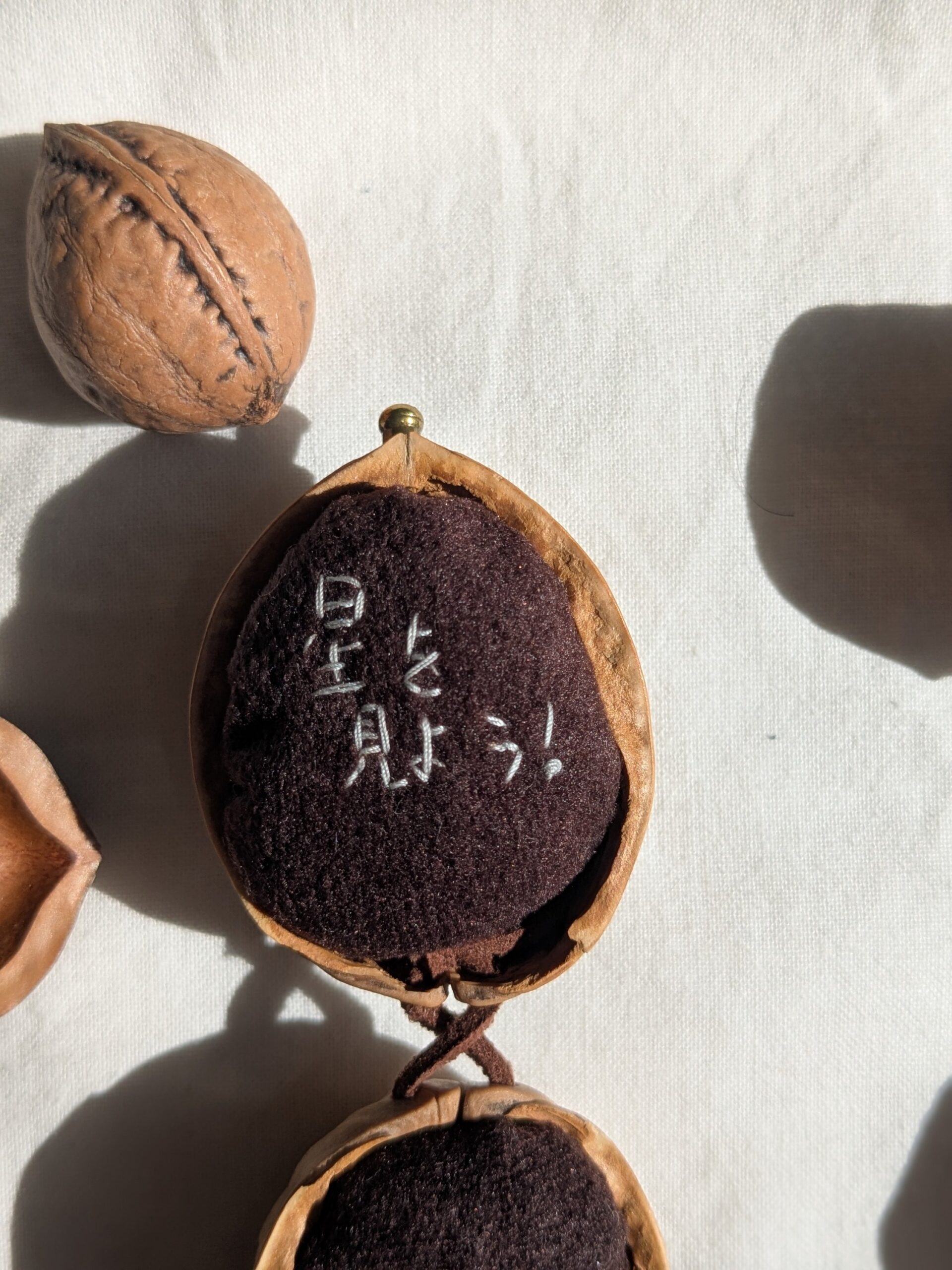 Coming soon - 画像 (4)