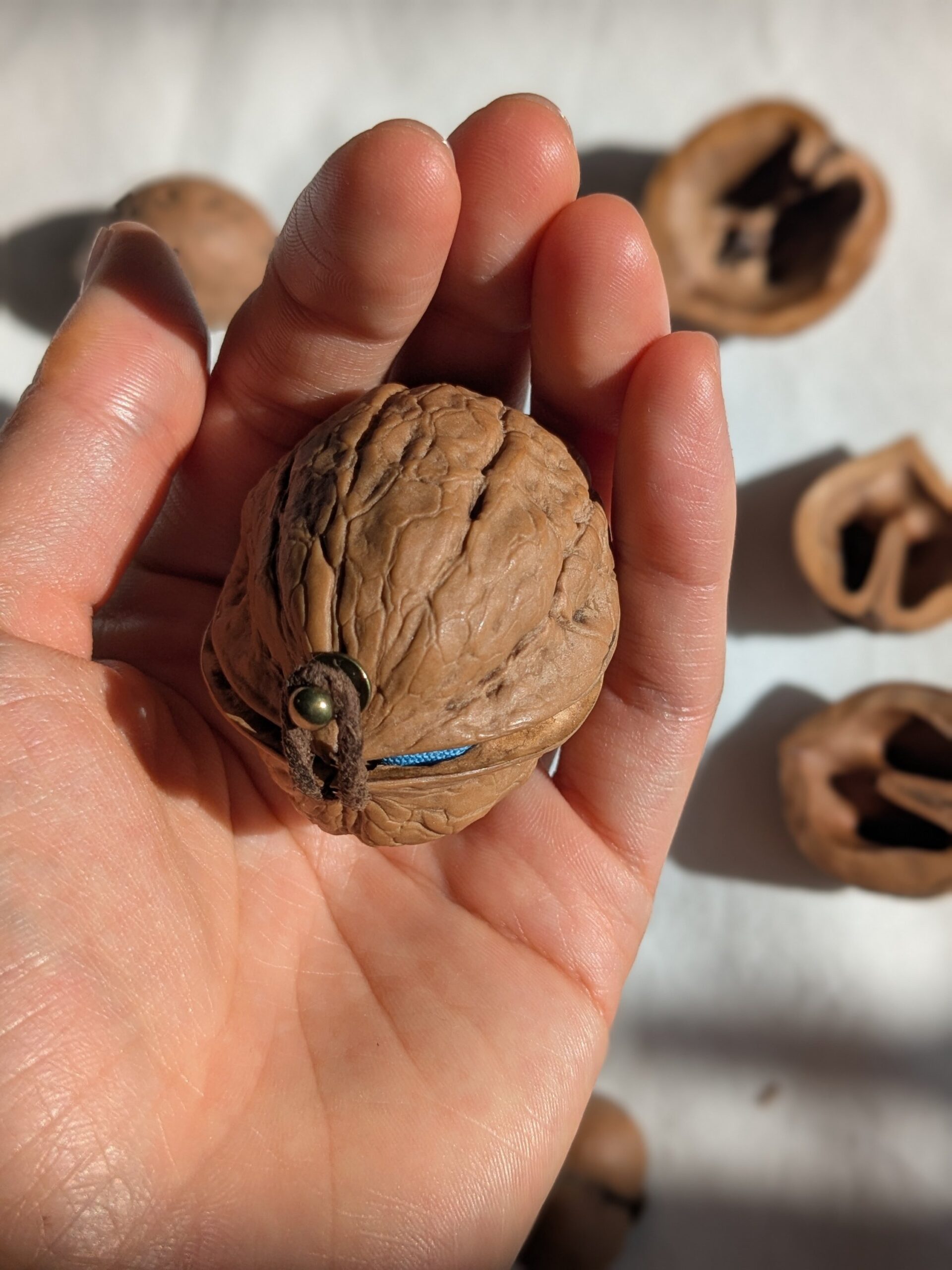 Coming soon - 画像 (5)