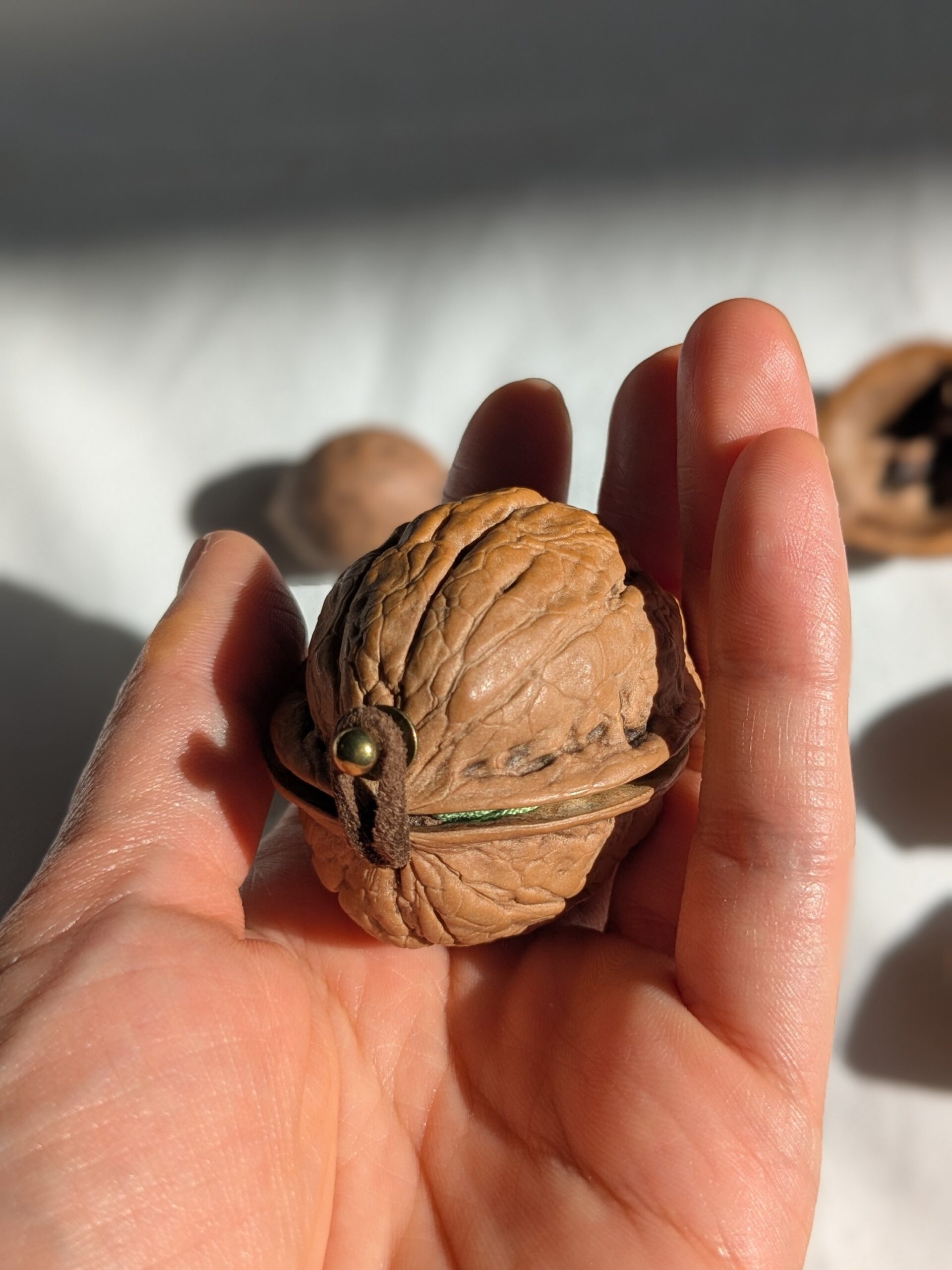 Coming soon - 画像 (6)