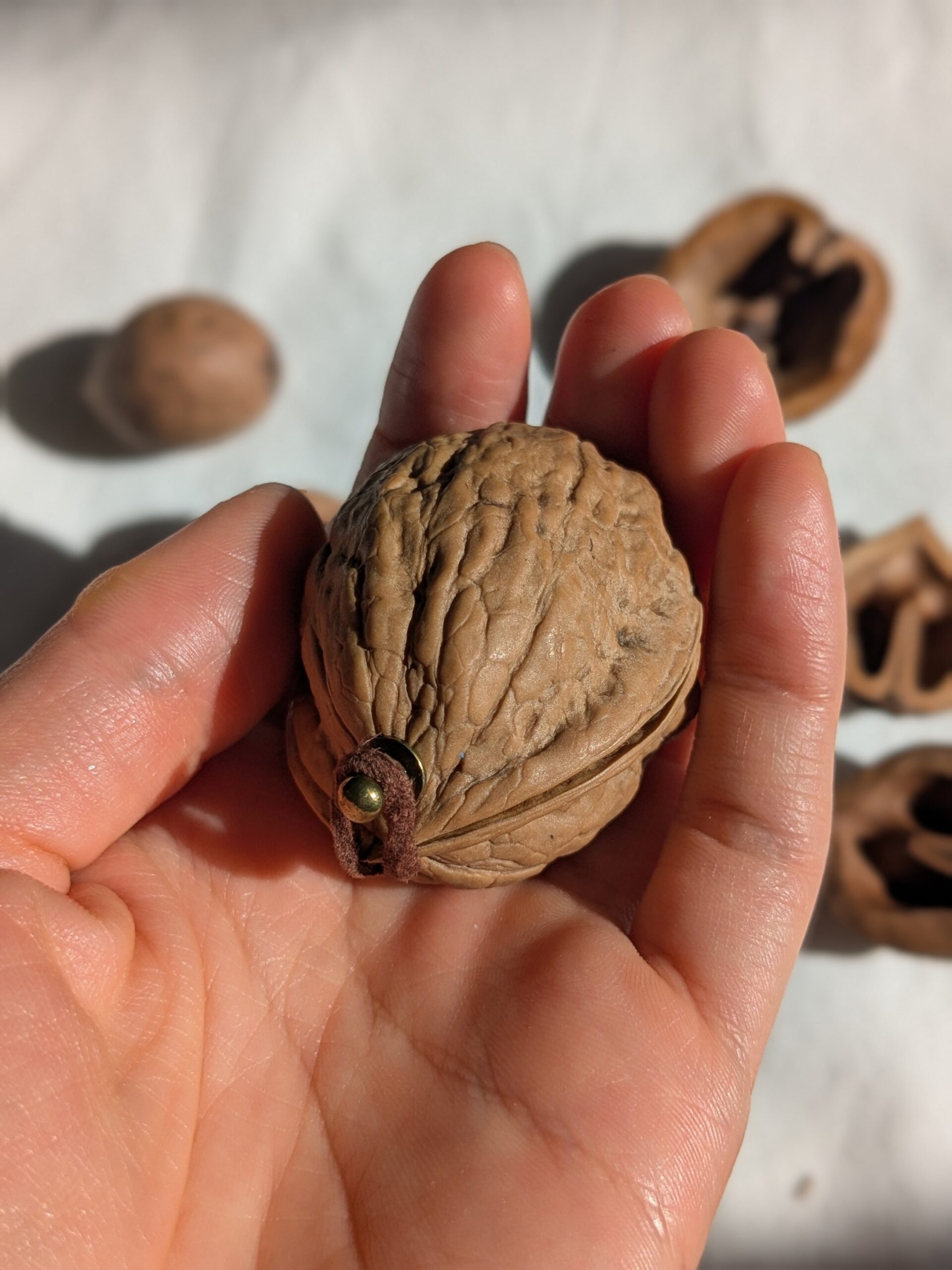 Coming soon - 画像 (5)