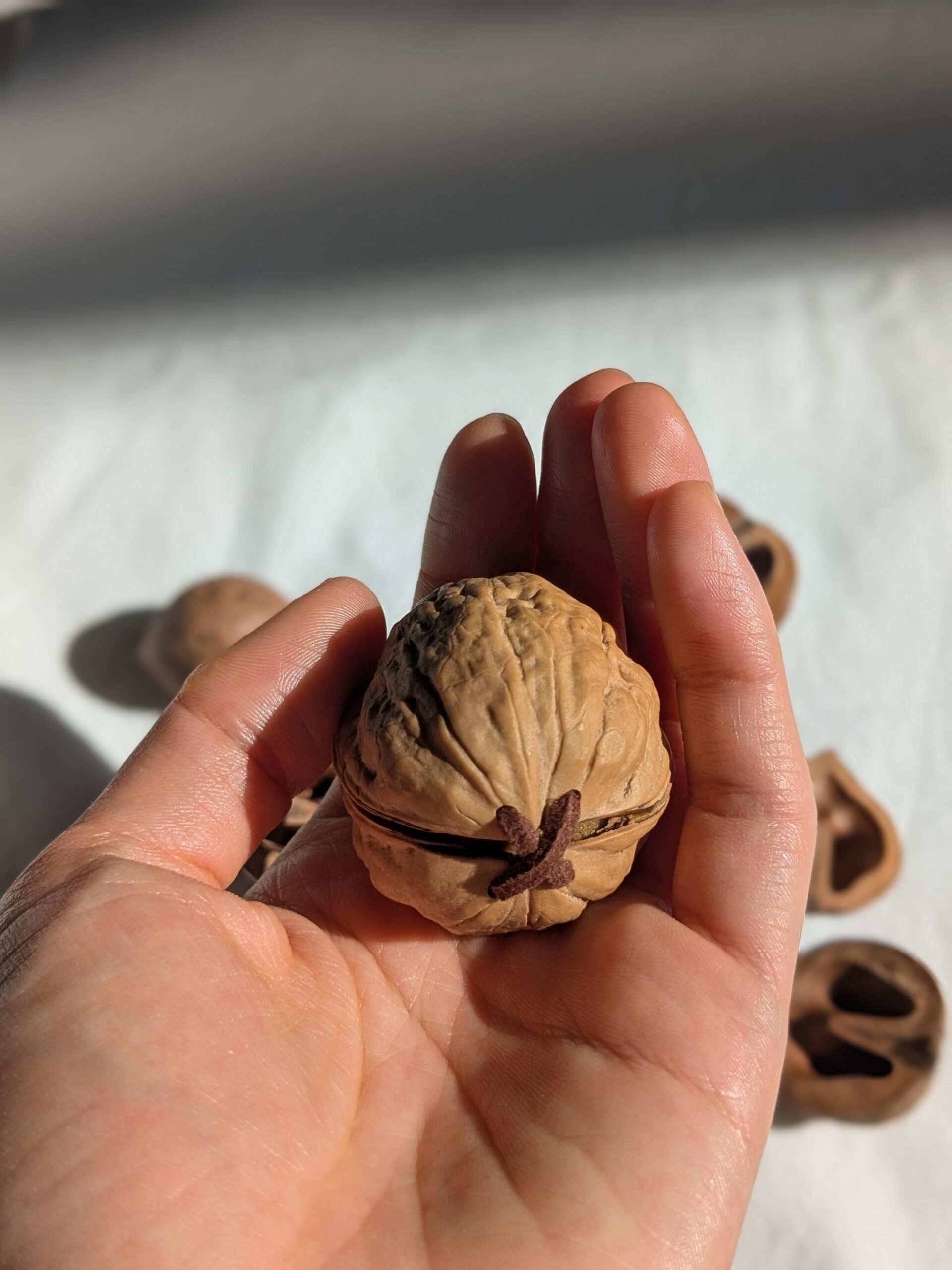 Coming soon - 画像 (6)