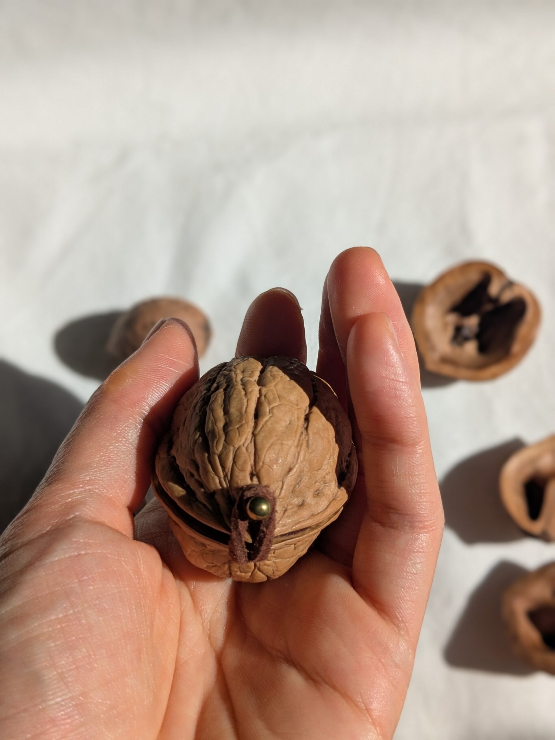 Coming soon - 画像 (6)