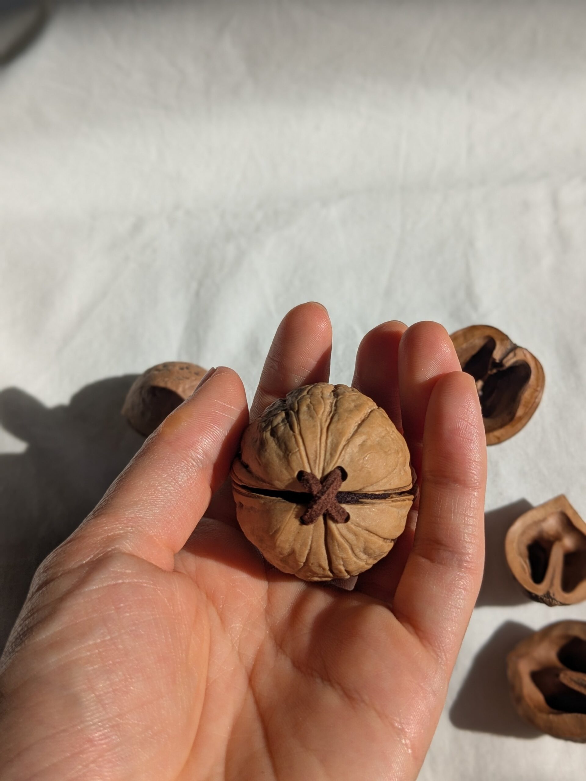 Coming soon - 画像 (5)