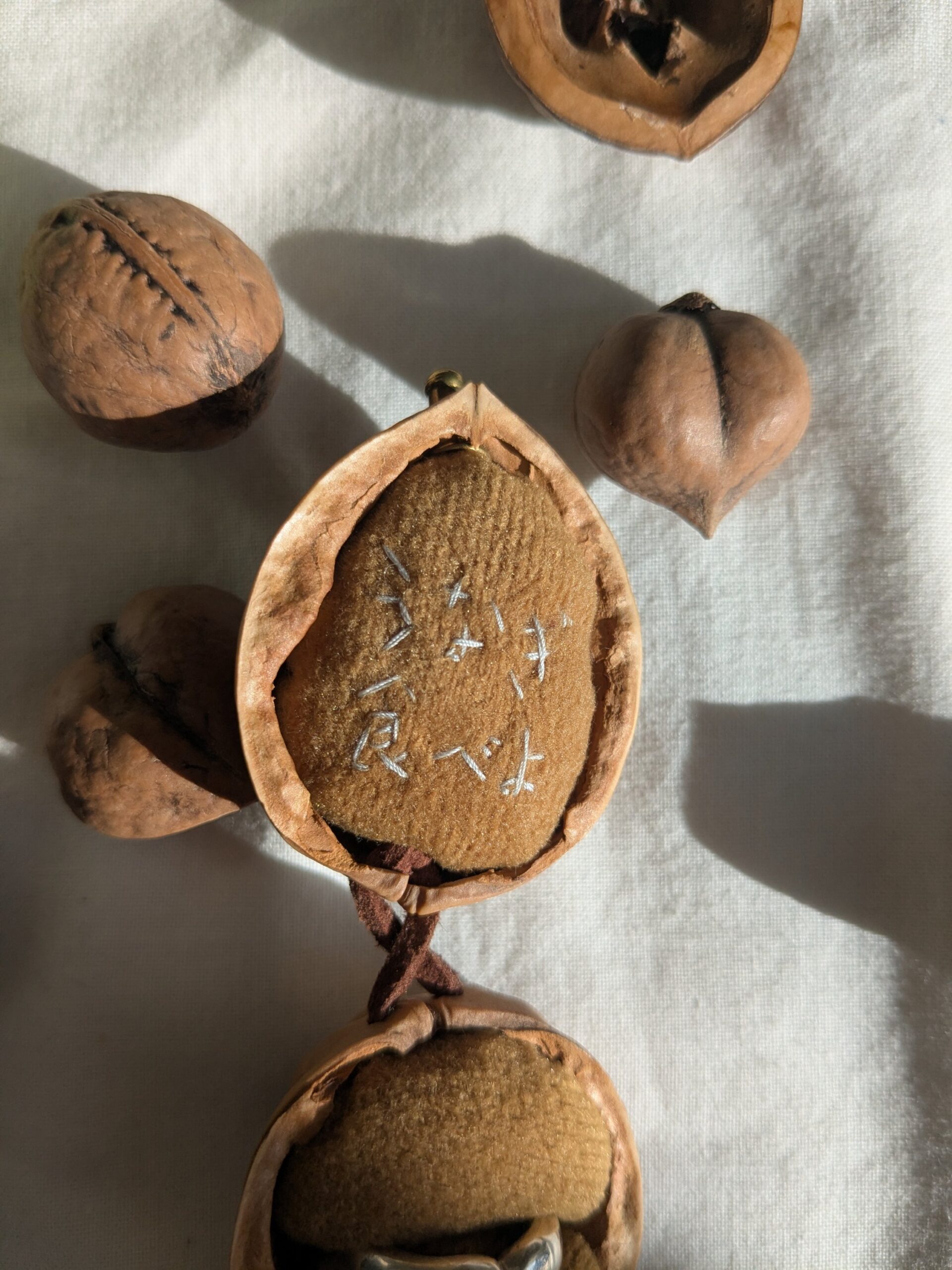 Coming soon - 画像 (4)