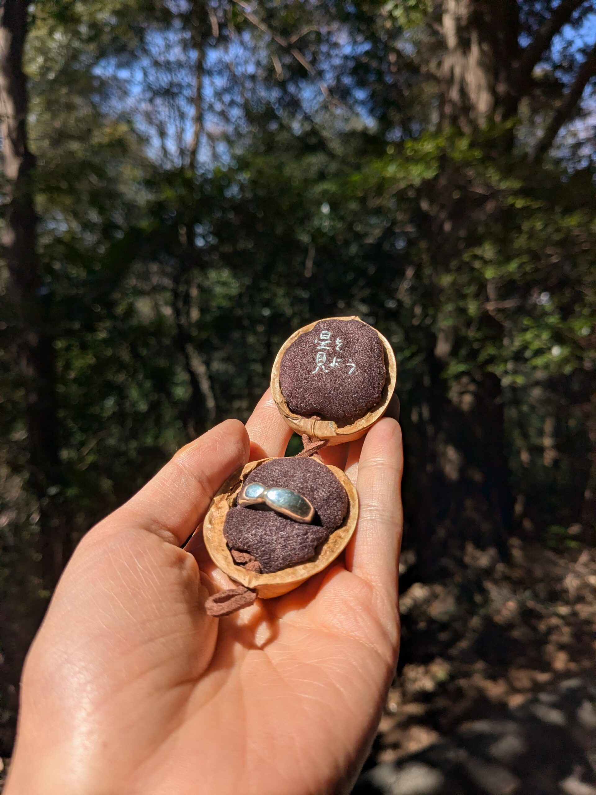 胡桃のリングケース:茶 - 画像 (6)