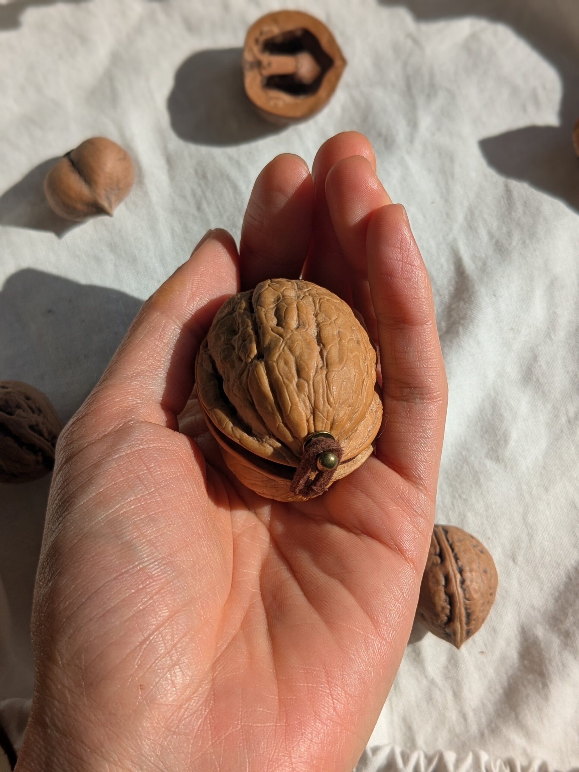 胡桃のリングケース:茶 - 画像 (4)