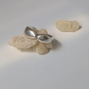 すべてを抱きしめるRing