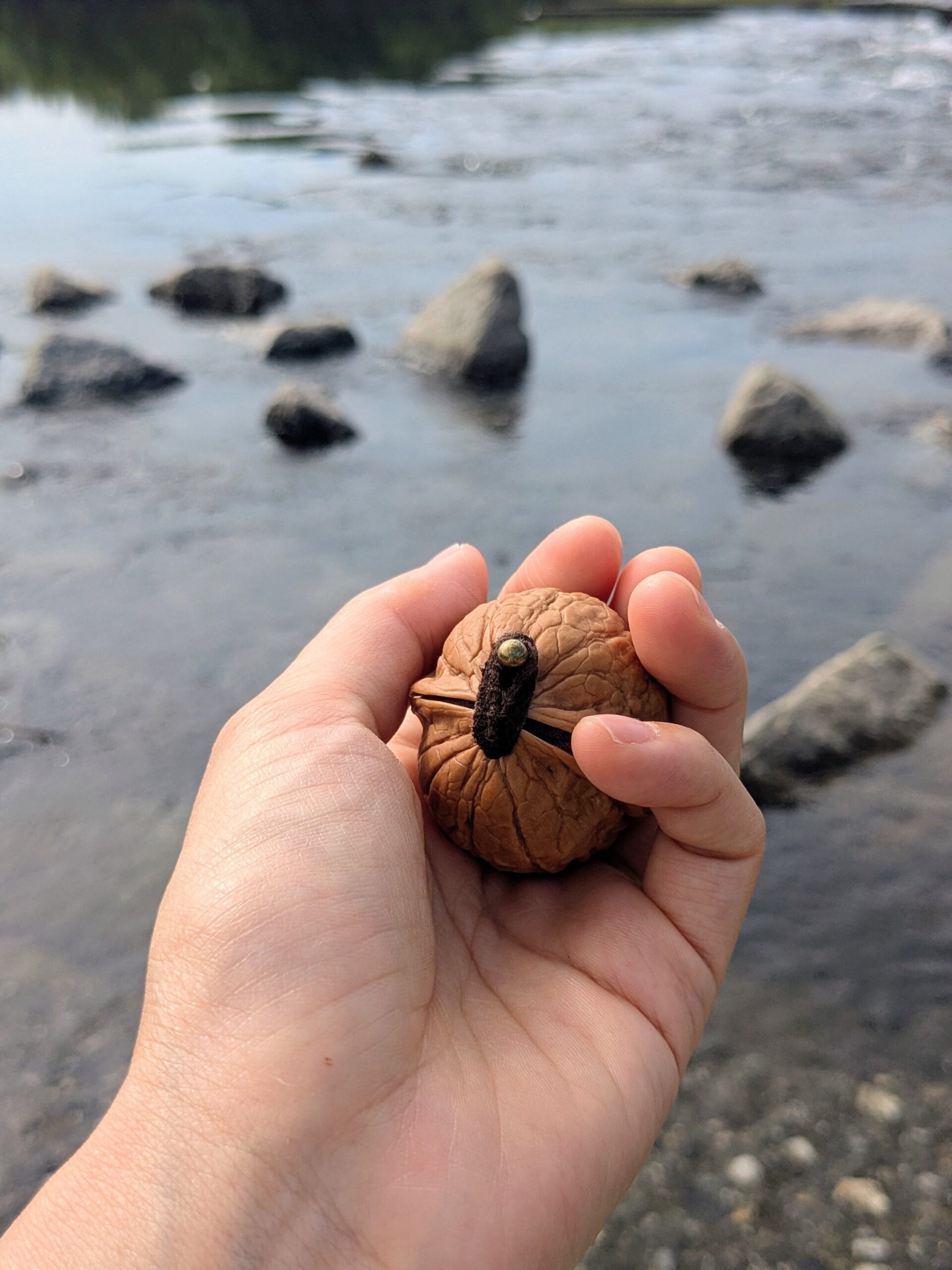 胡桃のCase:パープル×鳥 - Image 4