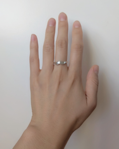 オーダーRing
