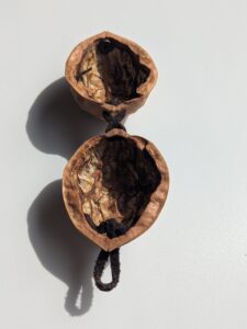 胡桃のCase: 素-su-