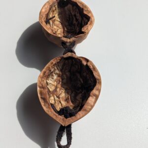 胡桃のCase: 素-su-