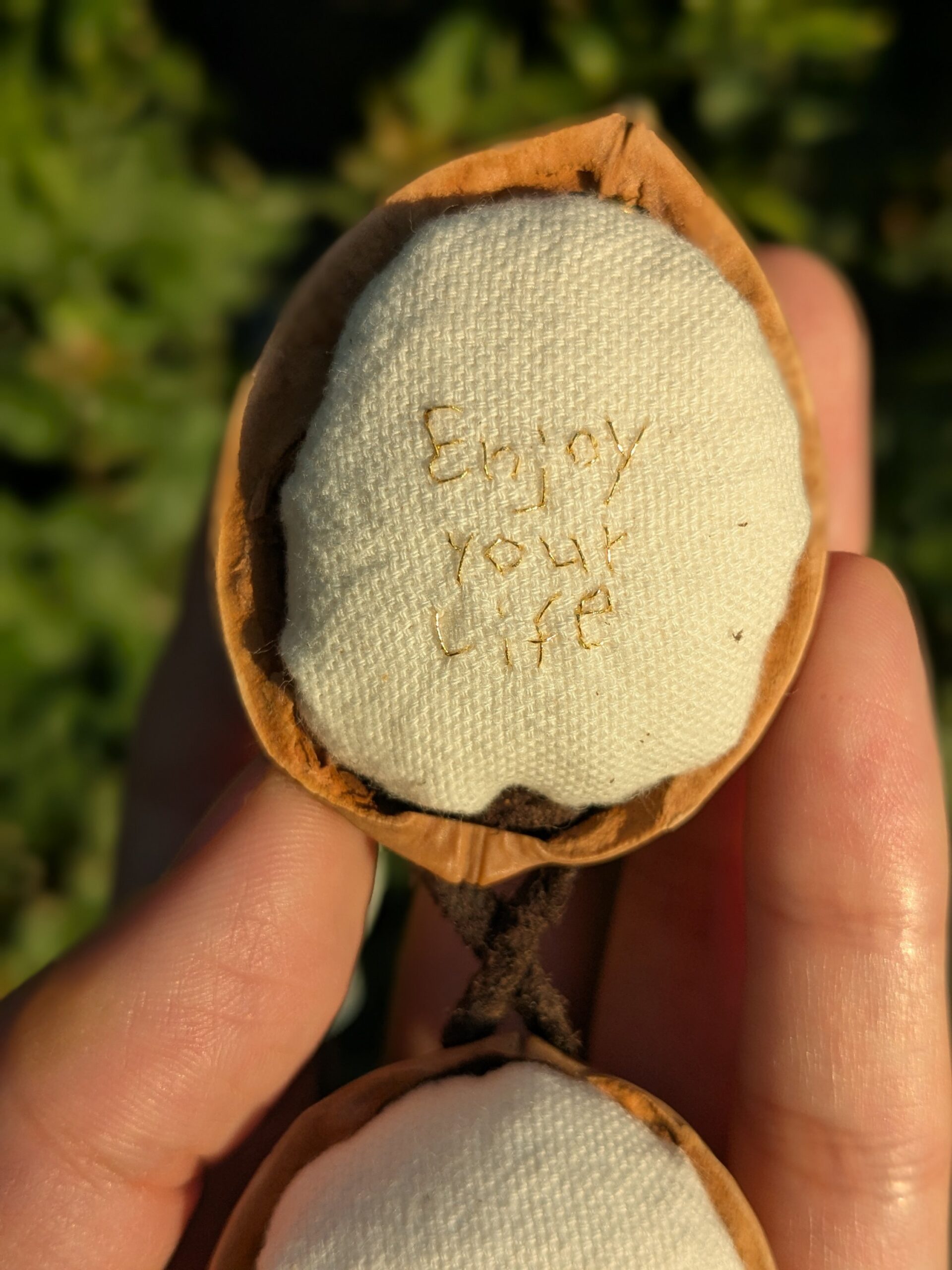 胡桃のCase : Enjoy your life - 画像 (2)
